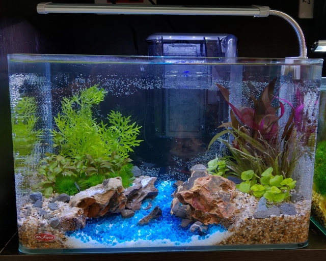 川流不息-MR.AQUA名人水族第一屆小資缸趣味造景人氣票選比賽活動