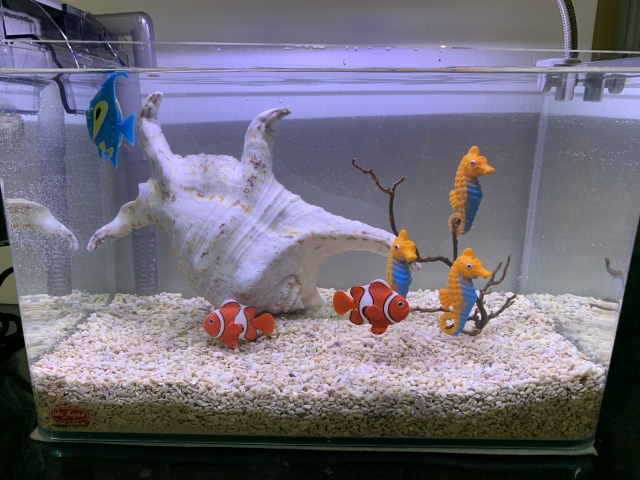 海底世界-MR.AQUA名人水族第一屆小資缸趣味造景人氣票選比賽活動