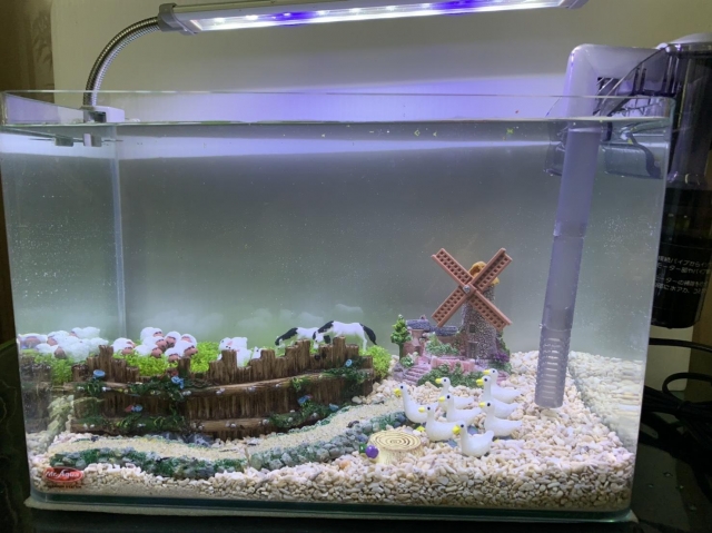 荷蘭放牧小鎮-MR.AQUA名人水族第一屆小資缸趣味造景人氣票選比賽活動