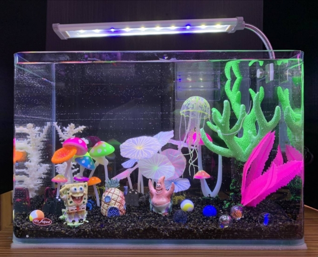 奇幻樂園-MR.AQUA名人水族第一屆小資缸趣味造景人氣票選比賽活動