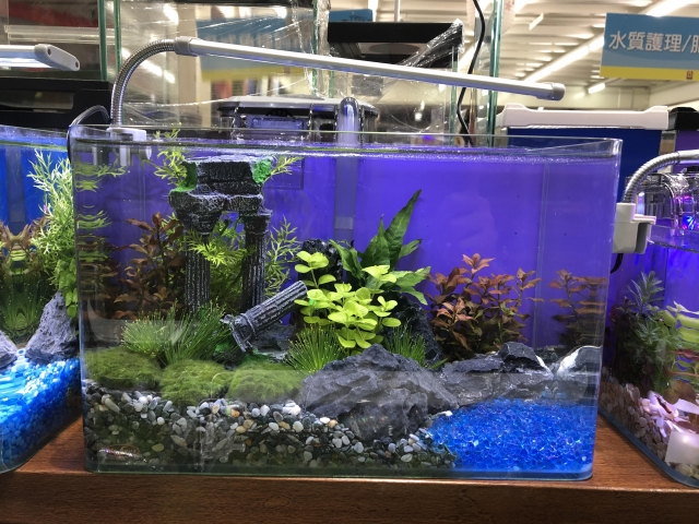 重生-MR.AQUA名人水族第一屆小資缸趣味造景人氣票選比賽活動