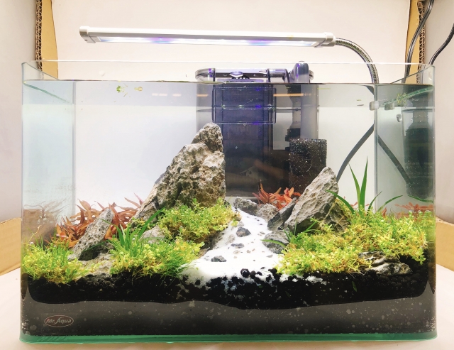 我家門前有小河-MR.AQUA名人水族第一屆小資缸趣味造景人氣票選比賽活動