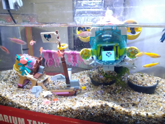 沉船尋寶樂-MR.AQUA名人水族第一屆小資缸趣味造景人氣票選比賽活動