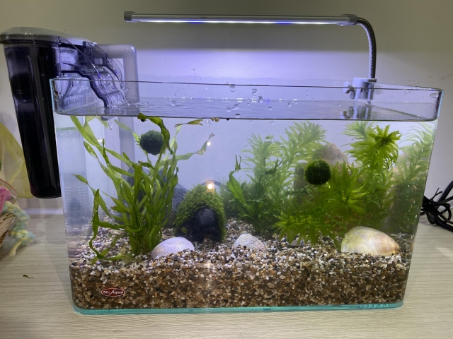 水草世界臻有趣-MR.AQUA名人水族第一屆小資缸趣味造景人氣票選比賽活動