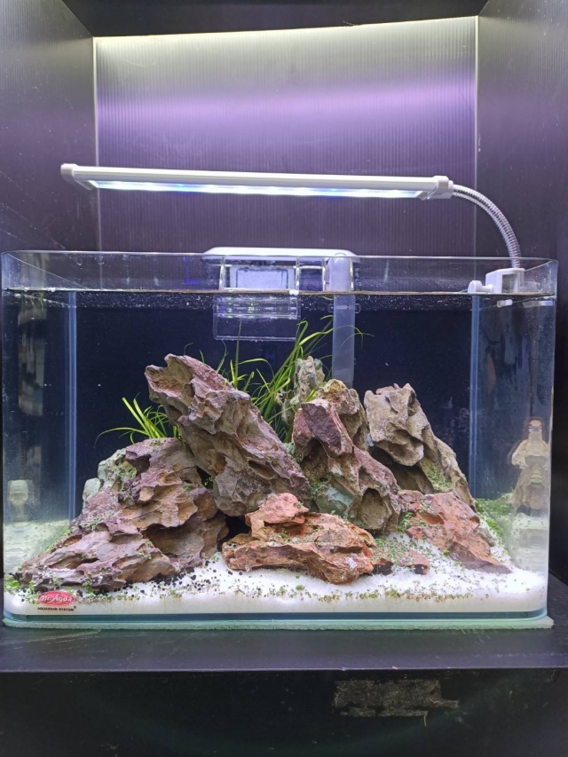 看山不是山-MR.AQUA名人水族第一屆小資缸趣味造景人氣票選比賽活動