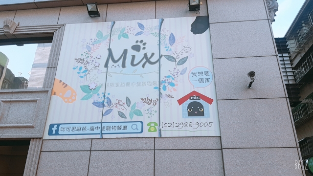 CATS!!!!! Visit cat restaurant in Taipei. -The SCVS next top YouTuber