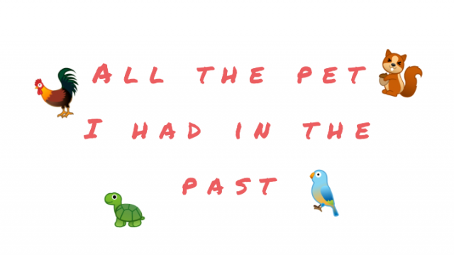 All The Pets I Had In The Past-The SCVS next top YouTuber