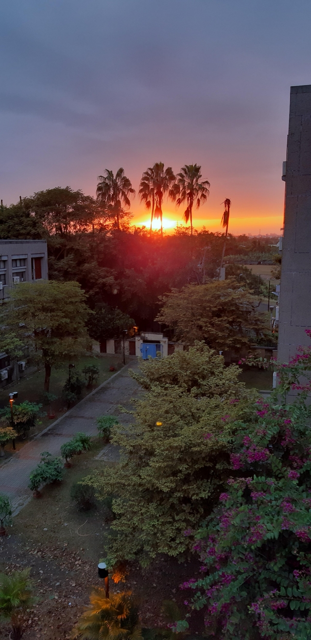 夕陽-夏日陽光季-宿舍生活點滴照片徵選-宿舍景觀