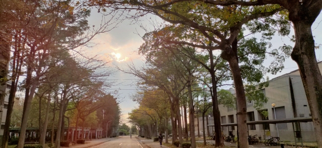 宿外桃源-夏日陽光季-宿舍生活點滴照片徵選-宿舍景觀