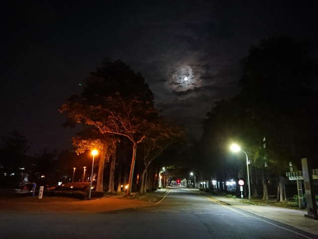 夜歸人-夏日陽光季-宿舍生活點滴照片徵選-宿舍景觀