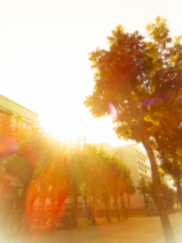 韶光-夏日陽光季-宿舍生活點滴照片徵選-宿舍景觀