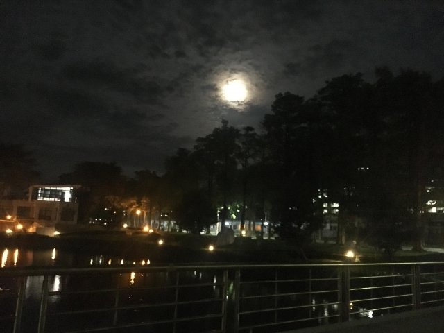 夜光-夏日陽光季-宿舍生活點滴照片徵選-宿舍景觀