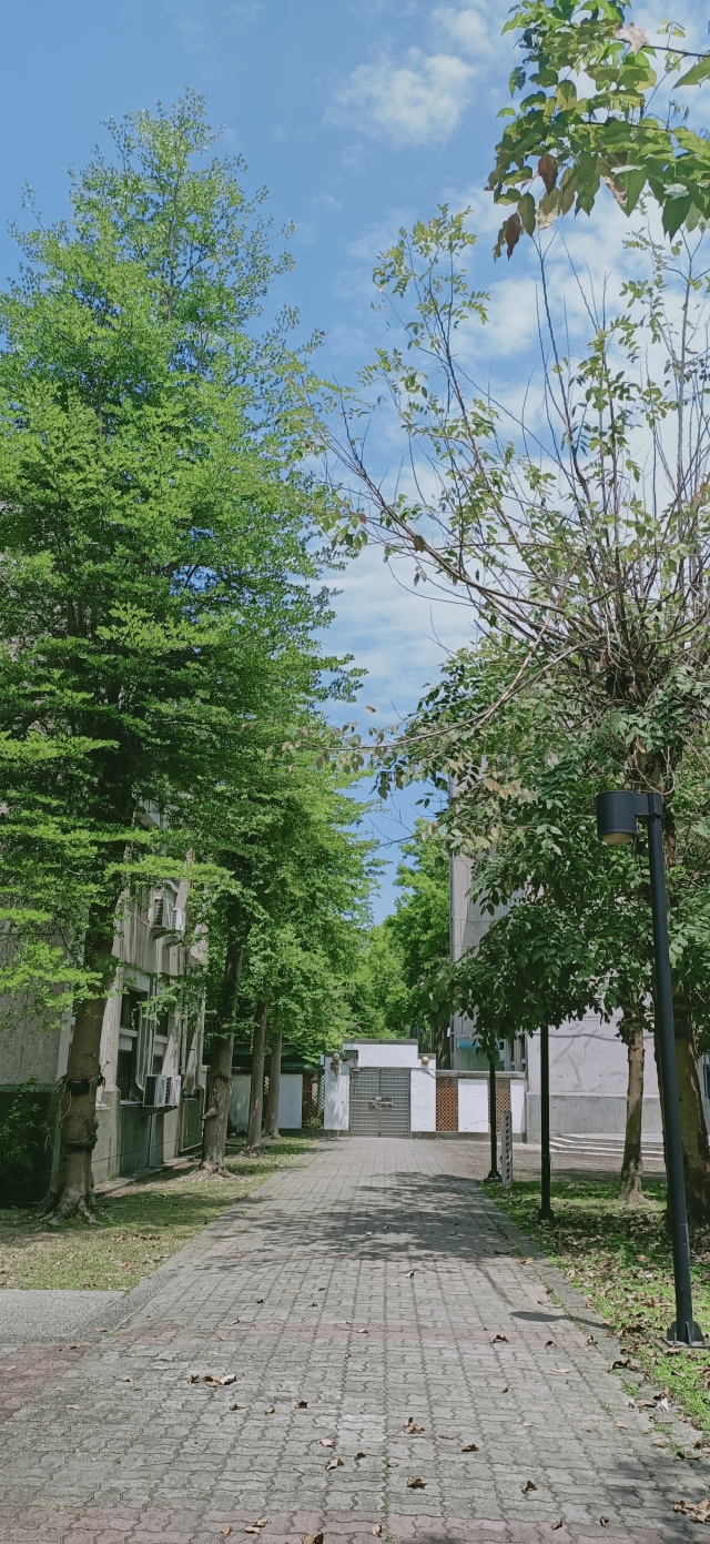 藍天白雲，綠樹成蔭-夏日陽光季-宿舍生活點滴照片徵選-宿舍景觀