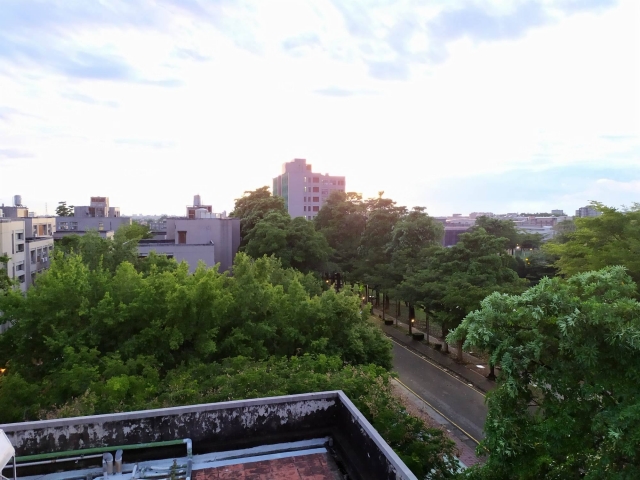 風景-夏日陽光季-宿舍生活點滴照片徵選-宿舍景觀