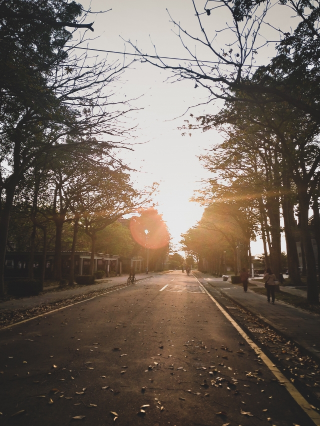 午後-夏日陽光季-宿舍生活點滴照片徵選-宿舍景觀