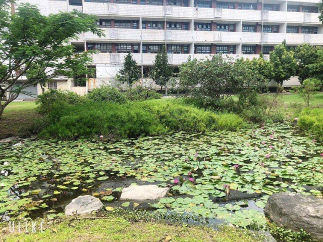 生態池-國中組│我的校園我驕傲 • 一張照片行銷校園