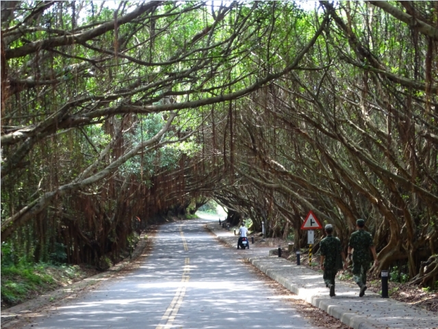 【西坵有容路榕樹隧道】-我鏡頭下的莒光－莒光之美