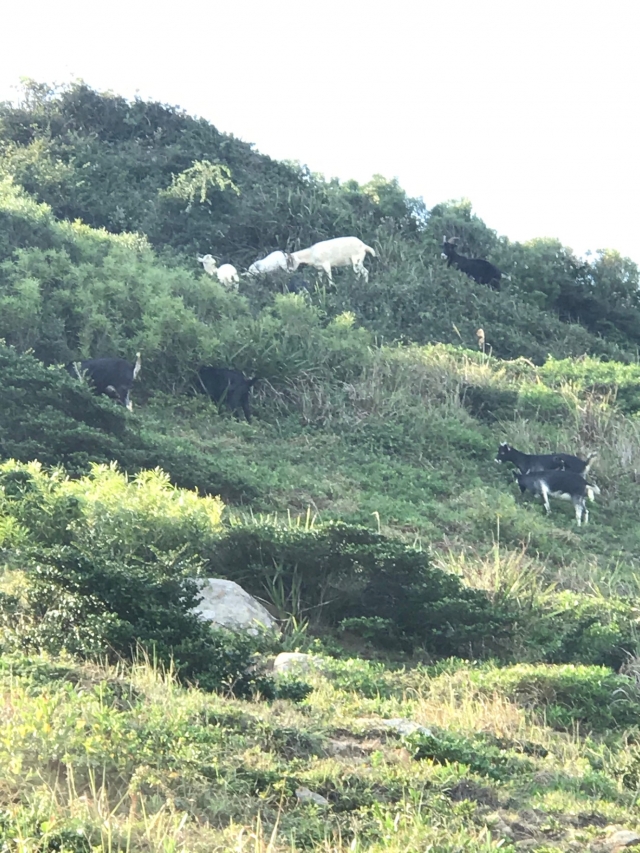 自強隧道-我鏡頭下的莒光－莒光之美