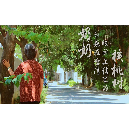 《奶奶和她在台灣版圖上结果的核桃樹》- 奶奶与核桃树-兩岸金沙散文獎得獎作品影視化徵集大賽 人氣影片投票大賞