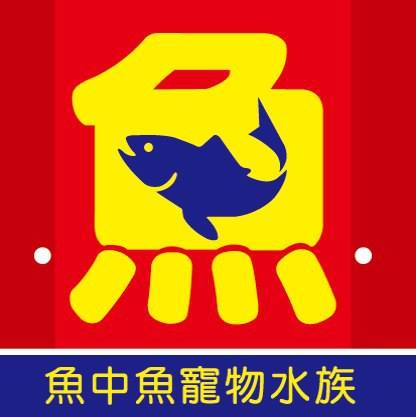 2020魚中魚30週年慶/尋找30年的老朋友