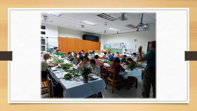 家有青草藥超養生(四)(萬華國中校區)-萬華社大成果展影片票選