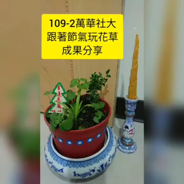 跟著節氣玩花草(萬華國中校區)-萬華社大成果展影片票選