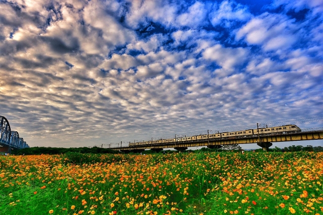 舊鐵橋河濱公園。花海紅霞列車-百年鐵橋‧風華再現-大樹舊鐵橋美照徵選