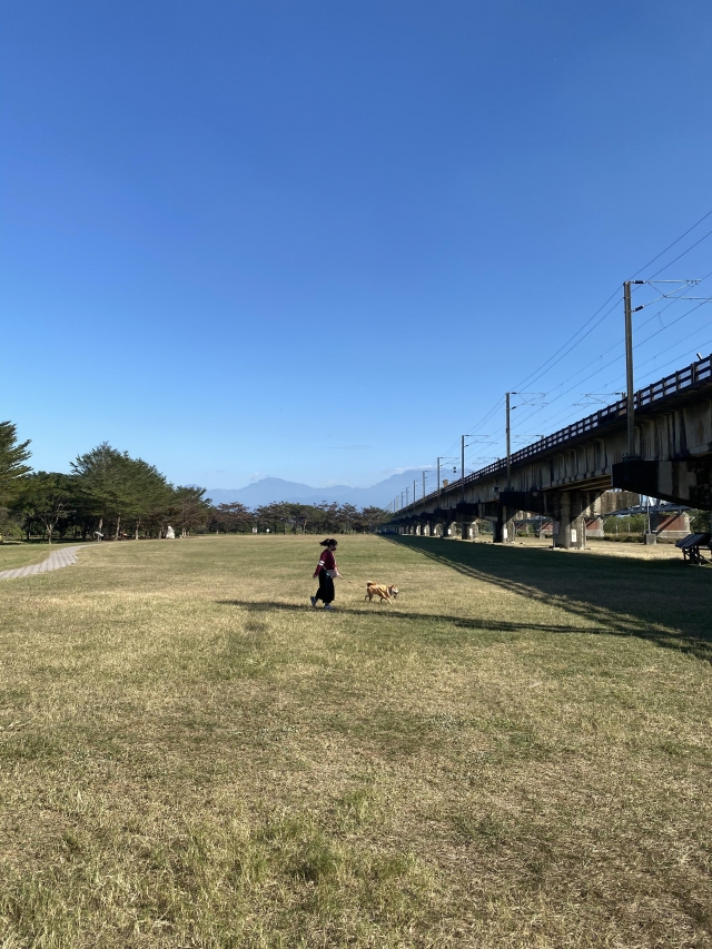 橋下橋上好風光-百年鐵橋‧風華再現-大樹舊鐵橋美照徵選