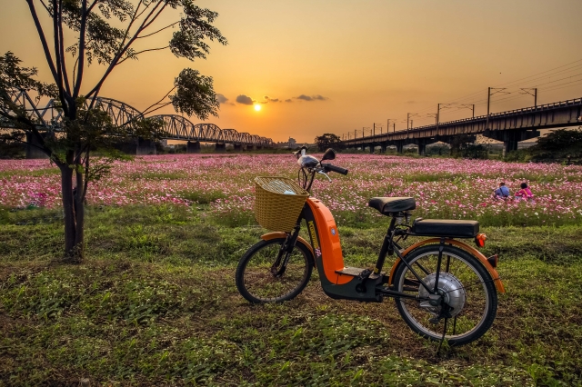 單車情懷-百年鐵橋‧風華再現-大樹舊鐵橋美照徵選