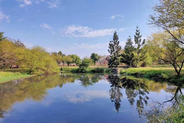 高屏溪舊鐵橋濕地公園之美-百年鐵橋‧風華再現-大樹舊鐵橋美照徵選