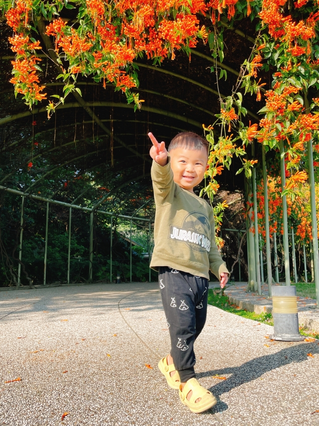 兒子與花博公園內的花廊-《春意正濃，百花盛開》 圓山及大龍峒商圈聯合手機攝影大賽
