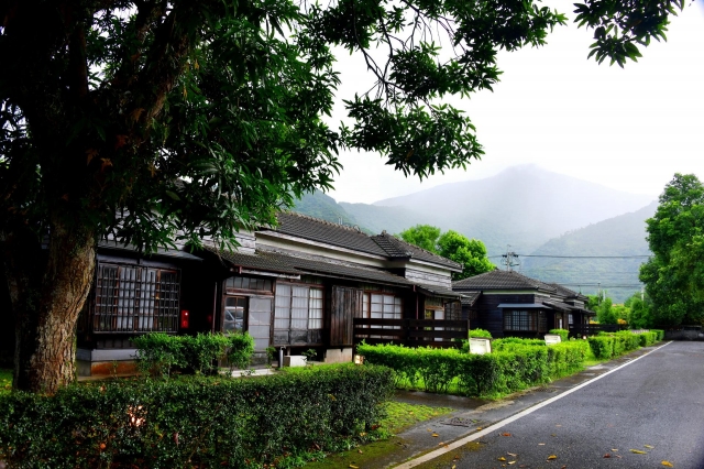 風華再現-我與花糖談的這場戀愛-攝影展