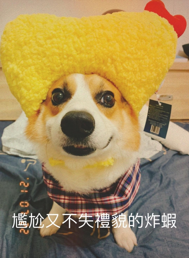 Anber-  好肉7月代言人（下）｜【柯基】小坦克的告白