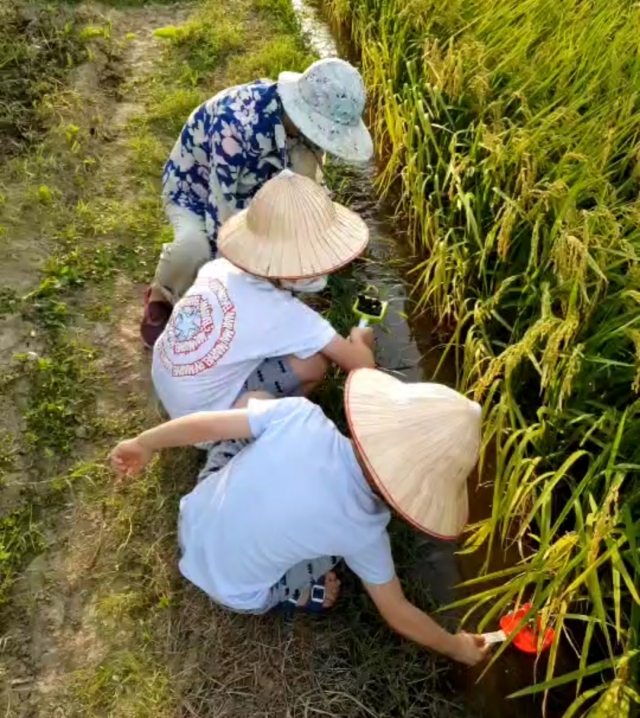 曾孫欸~來田裡行行阿-阮兜ㄟ老大人 徵圖活動