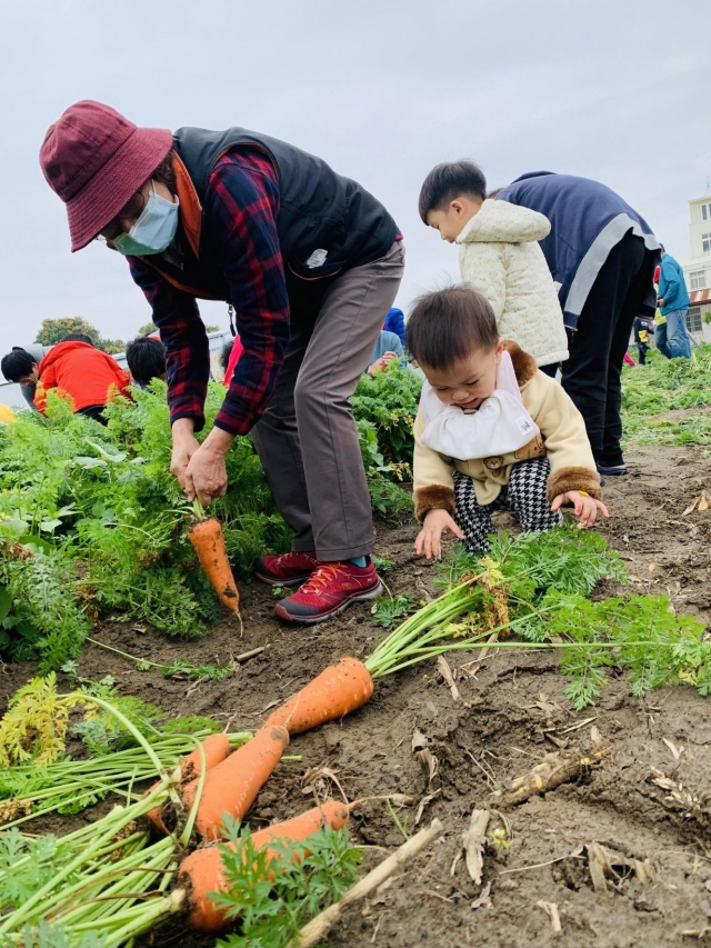 雨後拔蘿蔔的我們，超認真、可愛！-阮兜ㄟ老大人 徵圖活動