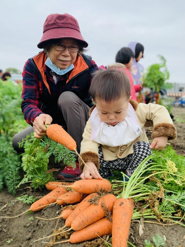 雨後拔蘿蔔的我們，超認真、可愛！-阮兜ㄟ老大人 徵圖活動