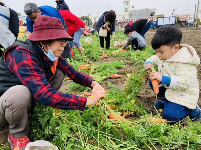 雨後拔蘿蔔的我們，超認真、可愛！-阮兜ㄟ老大人 徵圖活動