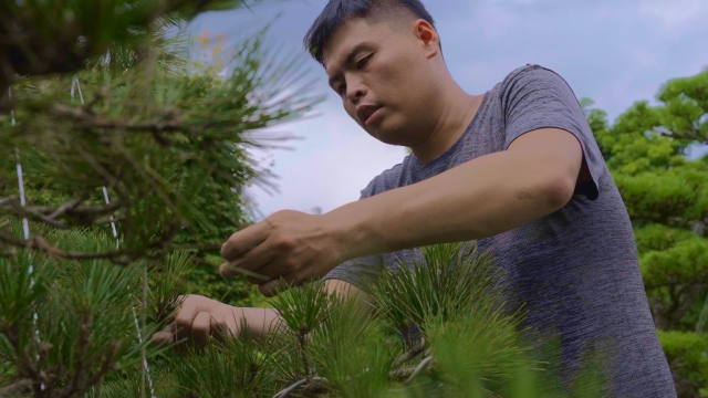 【社會第3組 - 唐靖勝】平菁·藝樹師 / Ping Jing Tree Man-110年臺北好農映象-提案影片 人氣票選