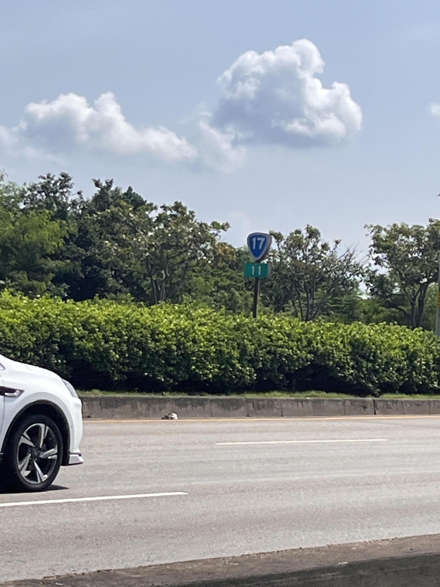 17-11 台中市梧棲區-TAIWAN 省道里程牌收集、解鎖照、省道里程牌座標位置下載、解鎖分享