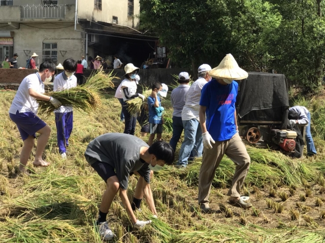 楊梅上湖社區發展協會-陳星燕-110年度「巷弄神話•照亮社區絕代風華」社區照片甄選活動