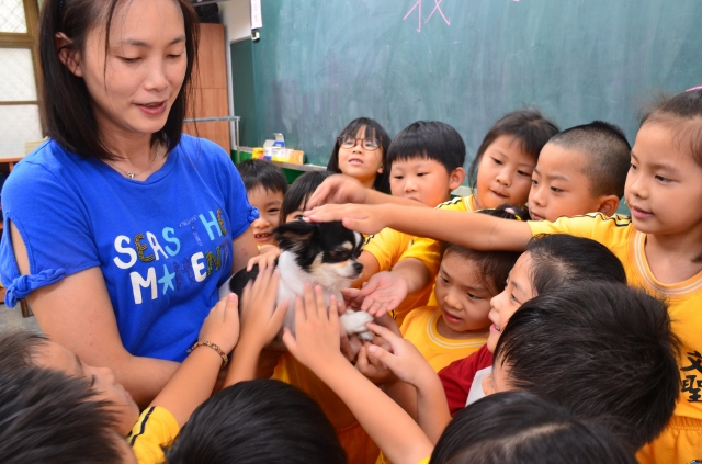 文聖暖心小天使-小V-新北市110年校園犬貓影片網路票選活動