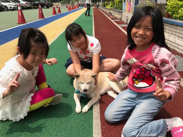 崁腳國小資深美魔女Q寶-新北市110年校園犬貓影片網路票選活動