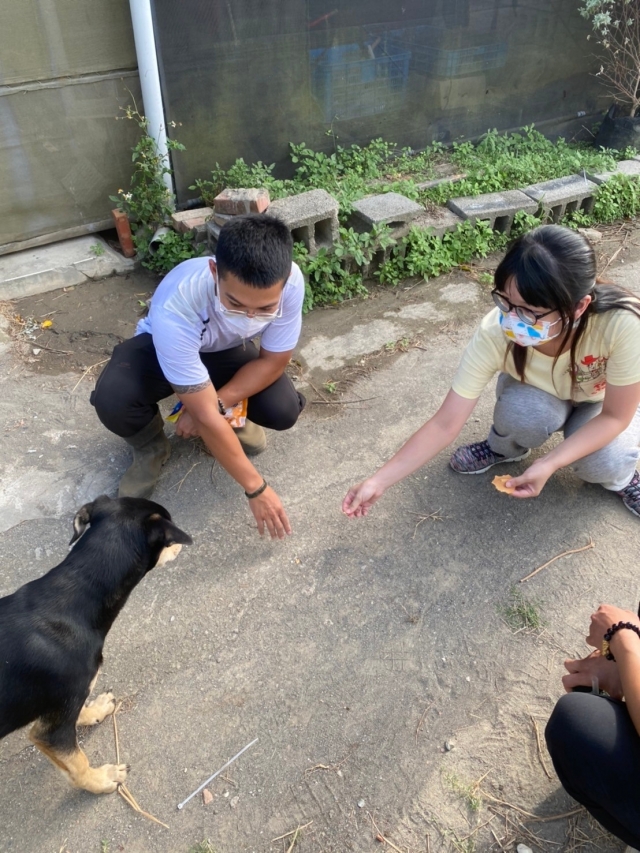 淡商不流浪-校犬巧克力的故事-新北市110年校園犬貓影片網路票選活動