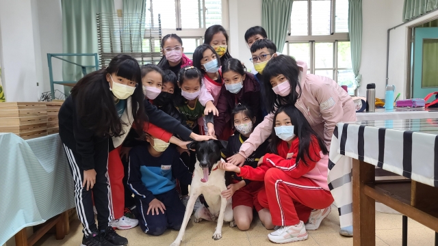 昌平國小~逗哥波-新北市110年校園犬貓影片網路票選活動