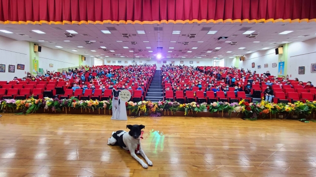 昌平國小~逗哥波-新北市110年校園犬貓影片網路票選活動