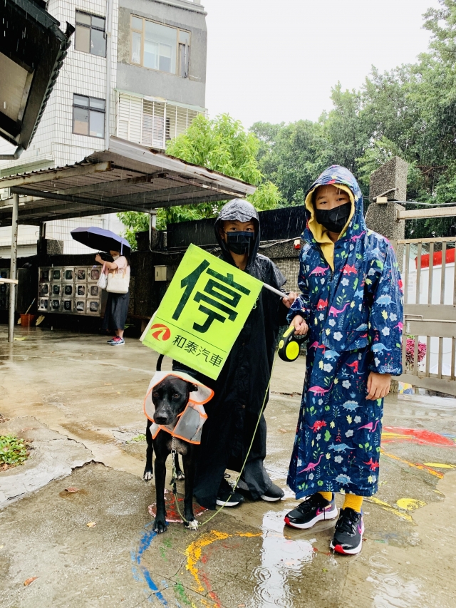 文化國小青春黑狗兄OREO-新北市110年校園犬貓影片網路票選活動