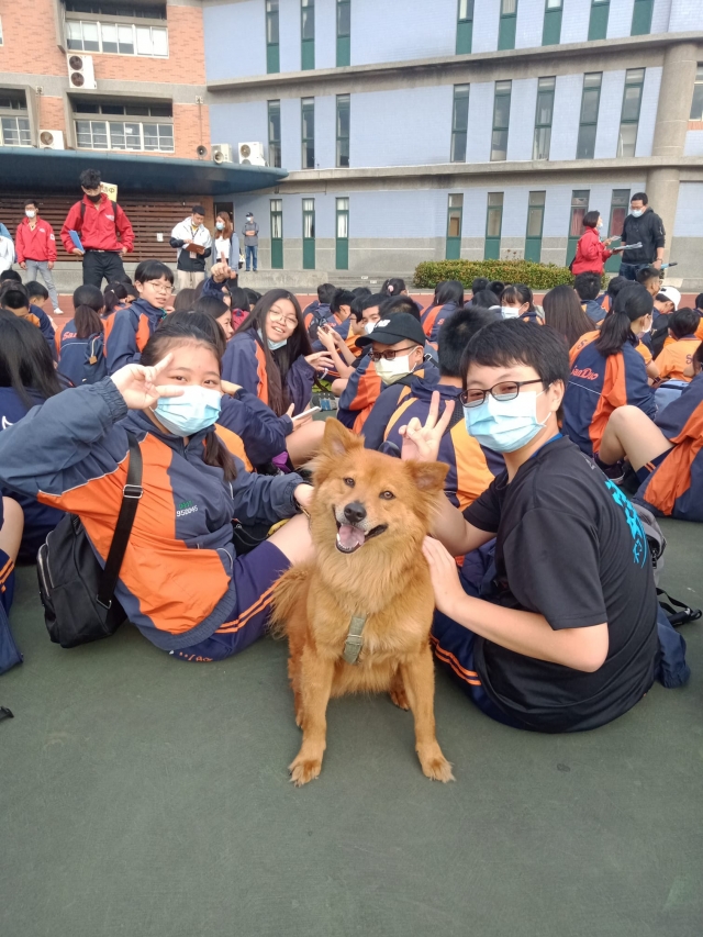 三多國中校犬--黑鼻-新北市110年校園犬貓影片網路票選活動