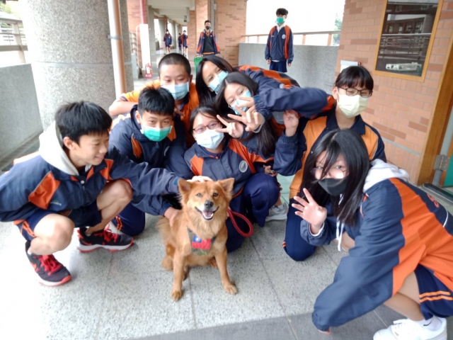 三多國中校犬--黑鼻-新北市110年校園犬貓影片網路票選活動