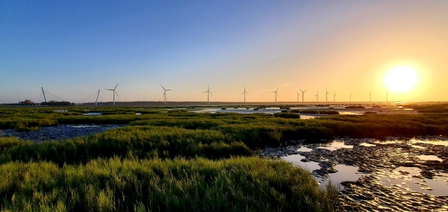風、電與生態-2022台電綠網「綠動隨手拍」友善環境攝影票選活動