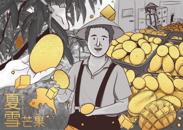 Golden mango-2022台東夏雪芒果明信片設計大賽【投票終決戰】